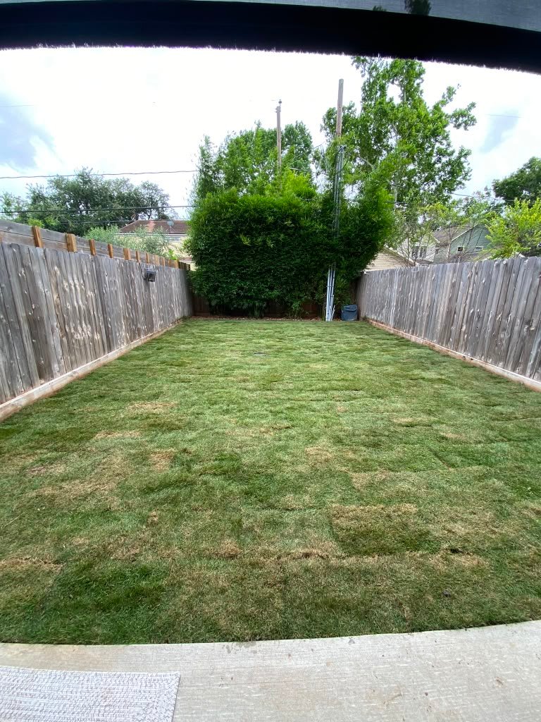 Sod installation completed around a residential landscape